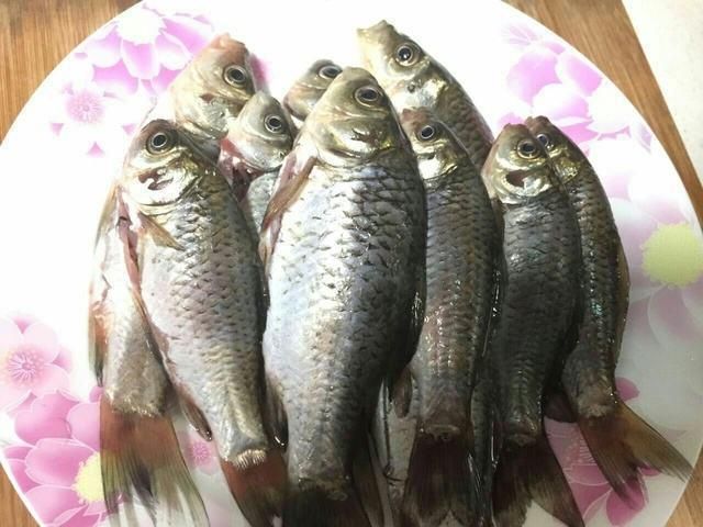 龍魚(yú)淡水魚(yú)還是咸水魚(yú)好吃一點(diǎn)：龍魚(yú)是一種淡水魚(yú)嗎？ 龍魚(yú)百科 第3張