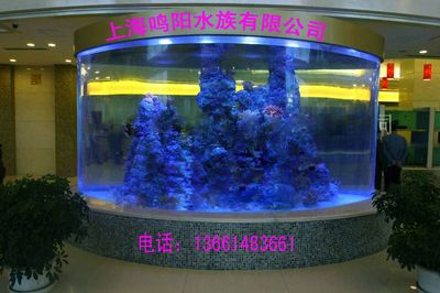 大型魚缸訂制價格：大型魚缸定制價格 魚缸百科 第1張