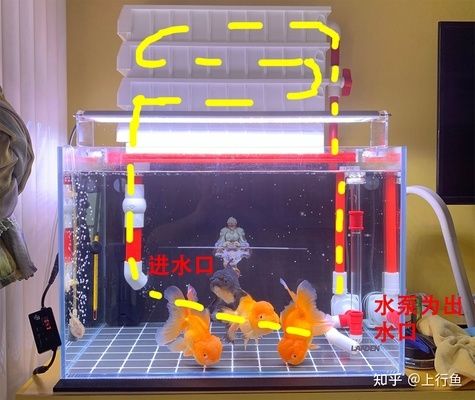 大型圓柱形魚缸進水口：關于大型圓柱形魚缸的相關信息 魚缸百科 第4張