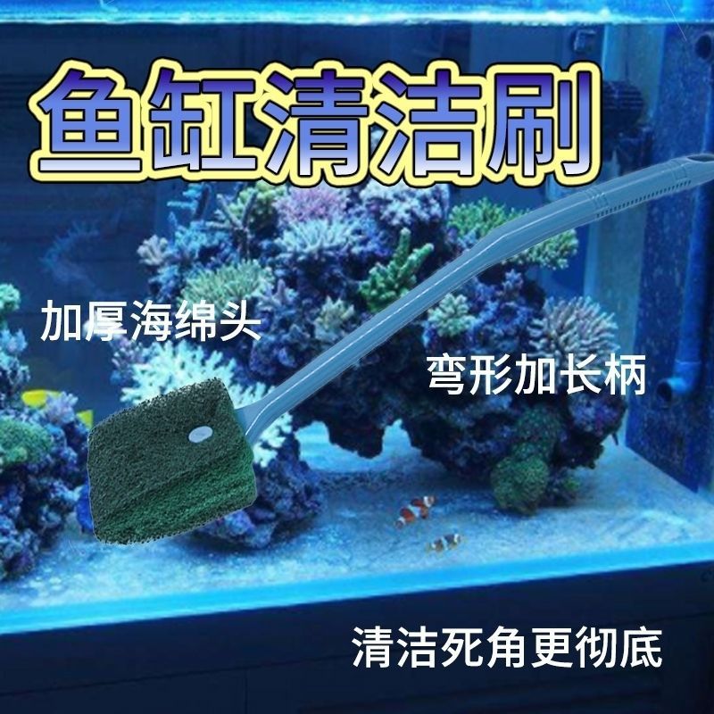 擦魚(yú)缸專用工具有哪些：如何正確使用魚(yú)缸清潔工具