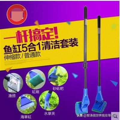 擦魚(yú)缸專用工具有哪些：如何正確使用魚(yú)缸清潔工具