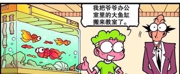 搬魚缸找誰：如何保養(yǎng)魚缸？ 魚缸百科 第1張