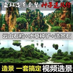 沉木魚缸造景視頻：關于沉木魚缸造景的一些視頻推薦 魚缸百科 第3張