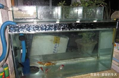 大型魚缸組裝視頻：大型魚缸制作基礎(chǔ)知識在觀看大型魚缸做法視頻教程 魚缸百科 第1張