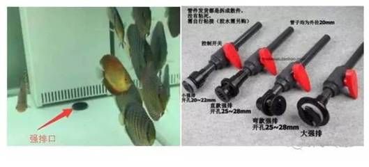 成品魚缸能不能開孔呢：成品魚缸可以開孔嗎 魚缸百科 第2張