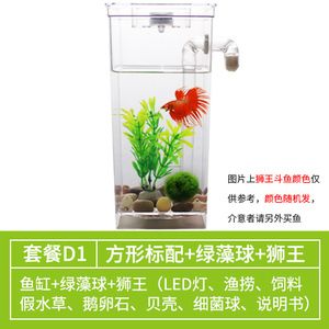 不曬水直接給魚缸換水：魚缸換水的注意事項 魚缸百科 第3張