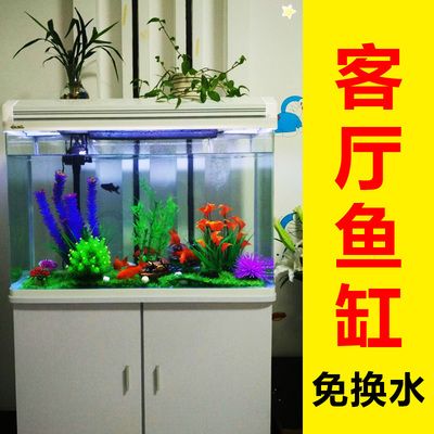 不曬水直接給魚缸換水：魚缸換水的注意事項 魚缸百科 第4張