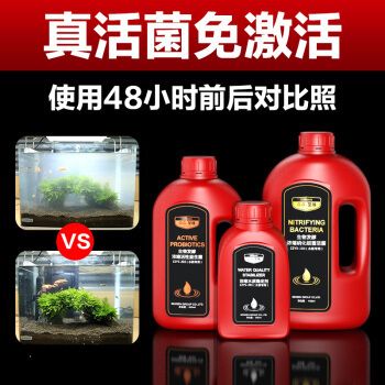 森森的消化細菌能用嗎：森森品牌的消化細菌是否能夠使用