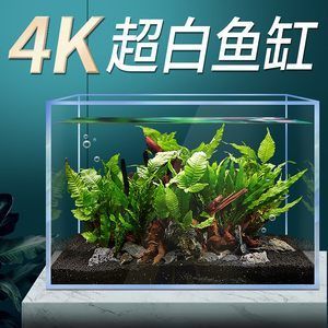 斗魚缸造景30缸好不好：斗魚缸造景的藝術(shù)與科學(xué) 魚缸百科 第4張