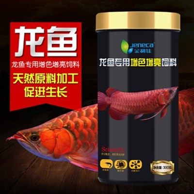 金龍魚魚苗吃什么長的快一點