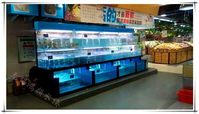 定做超市魚缸：哪里有定做超市魚缸的公司