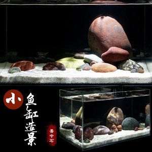 彩石魚缸怎么布景才好看