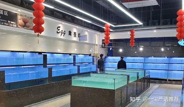 超市魚缸消毒：廣州海鮮超市魚缸怎么消毒 魚缸百科 第3張