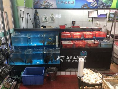 超市魚缸消毒：廣州海鮮超市魚缸怎么消毒 魚缸百科 第2張