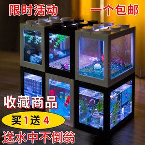 斗魚缸diy：關(guān)于斗魚缸的diy的建議和步驟 魚缸百科 第4張