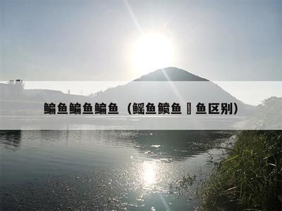 魟魚(yú)怎么讀音讀出來(lái)的拼音怎么寫(xiě)啊視頻：魟魚(yú)怎么讀音讀出來(lái)的拼音怎么寫(xiě) 魟魚(yú)百科 第1張