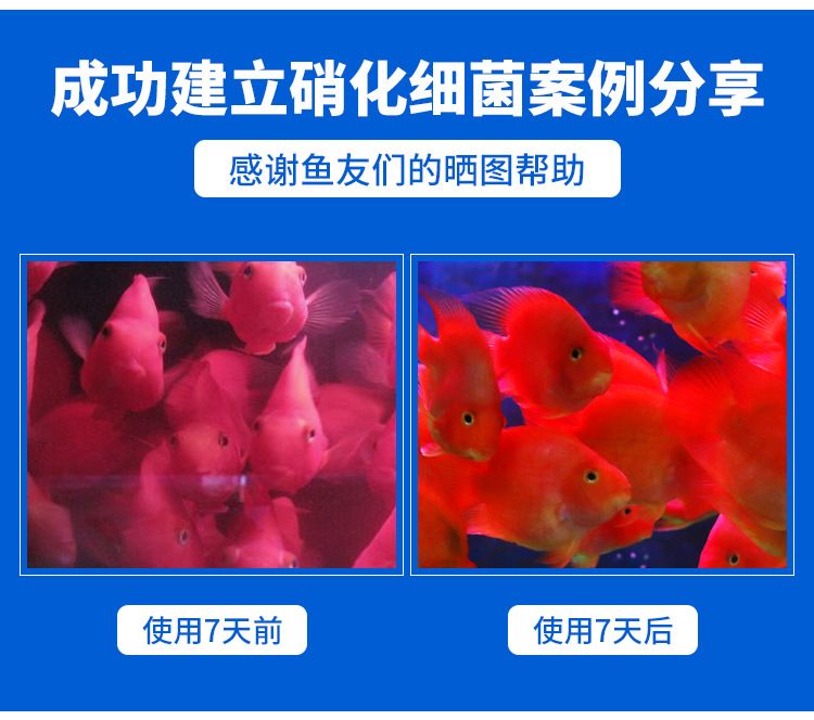 魟魚(yú)喂小魚(yú)要注意什么細(xì)菌感染：魟魚(yú)喂小魚(yú)要注意什么 魟魚(yú)百科 第2張