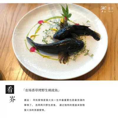 虎魚(yú)好吃不：清蒸虎魚(yú)的做法顯示虎魚(yú)不僅美味還具有營(yíng)養(yǎng)價(jià)值 虎魚(yú)百科 第2張