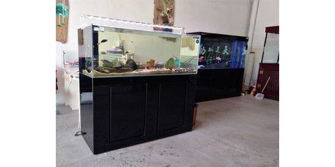 定做魚缸和成品魚缸哪個好些：定做魚缸和成品魚缸哪個好 魚缸百科 第3張