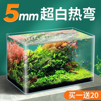 北方魚(yú)缸水草繁殖基地在哪：東明縣鑫源觀賞水草繁殖基地東明縣鑫源觀賞水草養(yǎng)殖基地 魚(yú)缸百科 第4張