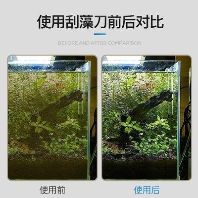 不想用的魚缸怎么處理干凈：如何處理不想用的大魚缸？ 魚缸百科 第1張