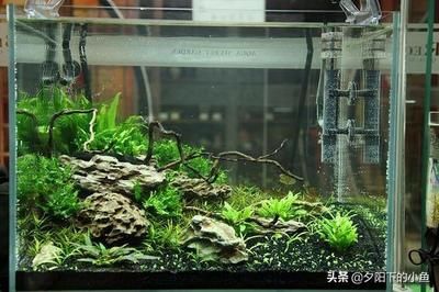 不想用的魚缸怎么處理干凈：如何處理不想用的大魚缸？ 魚缸百科 第3張