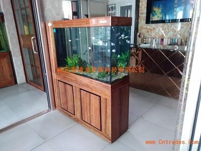 玻璃魚缸樣品圖：廣州海鮮魚缸定做和維修服務(wù)廣州東坦魚缸定做和維修服務(wù) 魚缸百科 第3張