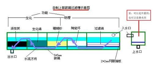 背濾魚缸設計圖：如何制作小型背濾缸 魚缸百科 第4張