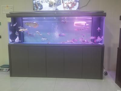 搬魚缸都需要什么工具：魚缸搬運注意事項 魚缸百科 第1張