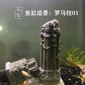 冬天做魚缸多少天才能用水泥：冬天建造魚缸使用水泥需要注意什么？ 魚缸百科 第1張