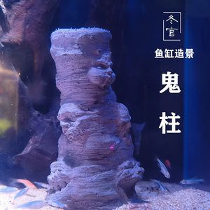 冬天做魚缸多少天才能用水泥：冬天建造魚缸使用水泥需要注意什么？ 魚缸百科 第4張