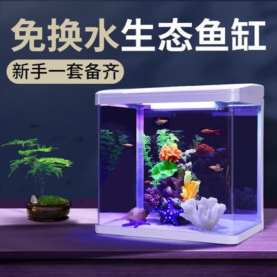 大魚缸介紹：大型魚缸的常用材質(zhì)包括水晶玻璃、亞克力和膠合玻璃 魚缸百科 第3張