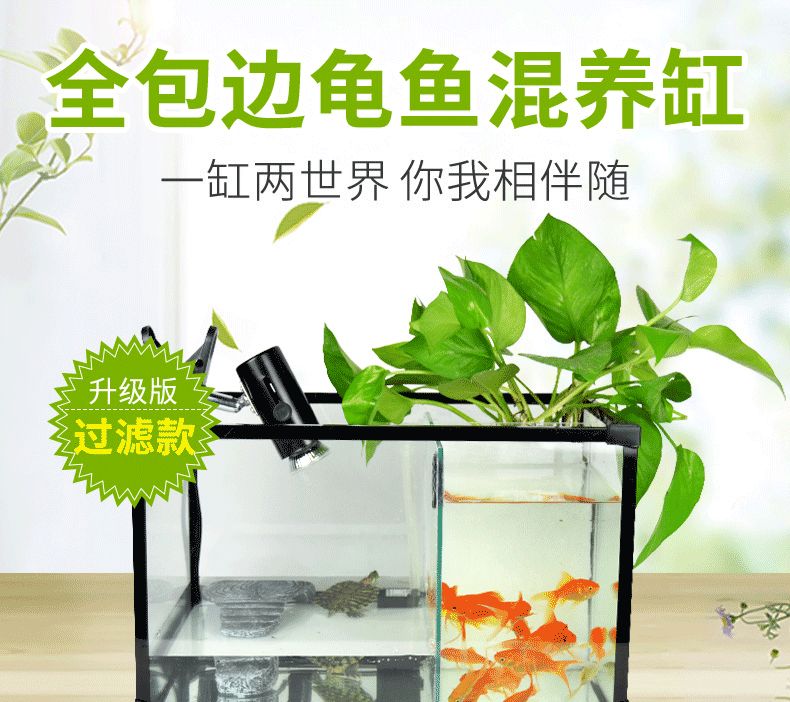 成品魚缸改水陸缸：成品魚缸改造成水陸缸的方法