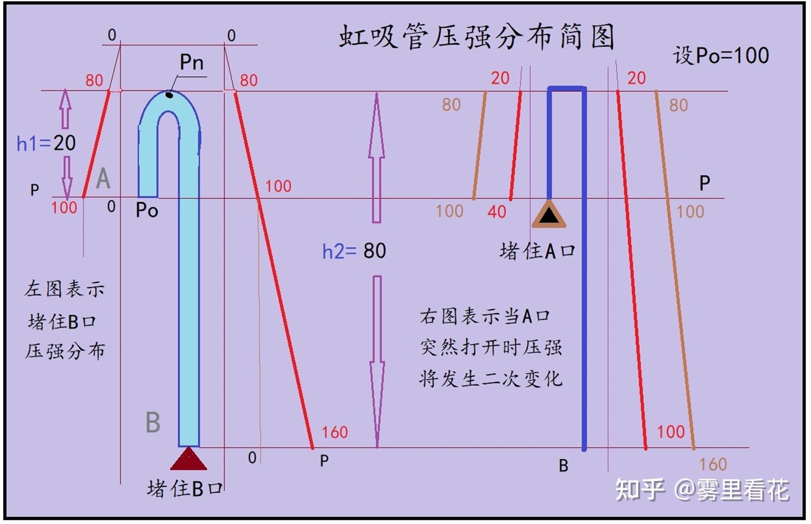 抽魚(yú)缸的水是什么原理：抽魚(yú)缸水的主要原理和操作方法