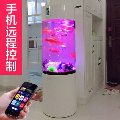 超白金晶魚(yú)缸排名第幾名：超白金晶魚(yú)缸排名