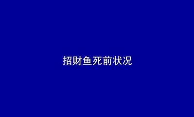 虎魚身上長白點然后死了還能活嗎：當(dāng)虎魚身上長白點時，是一種常見的癥狀，如果不及時治療 虎魚百科 第3張