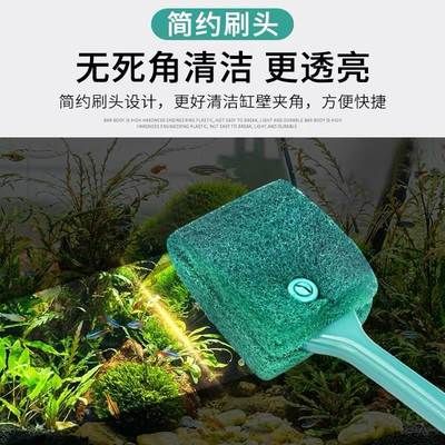 玻璃魚缸清洗妙招：洗清洗玻璃魚缸時(shí)，有幾種有效的方法可以幫助你輕松清潔魚缸 魚缸百科 第3張