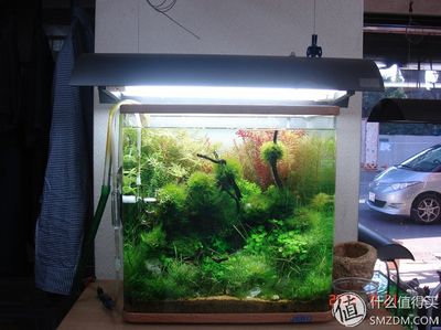 淡水哪里有賣魚缸的地方：廣州淡水魚缸哪里賣 魚缸百科 第1張