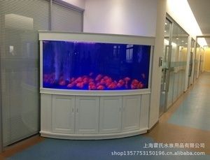 成品魚缸和定制魚缸哪個(gè)安全：成品魚缸和定制魚缸安全性對(duì)比 魚缸百科 第1張