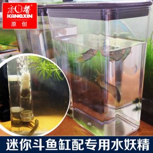 斗魚缸放底砂好不好呀：如何選擇合適的魚缸底砂？