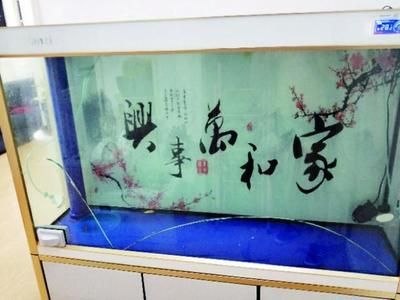 玻璃魚缸漏水怎么辦？：如何處理玻璃魚缸漏水？ 魚缸百科 第3張