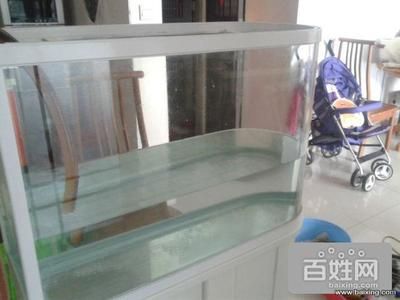 玻璃魚缸漏水怎么辦？：如何處理玻璃魚缸漏水？ 魚缸百科 第2張