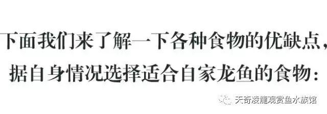 龍魚(yú)可以喂火腿腸嗎：龍魚(yú)可以喂食火腿腸嗎