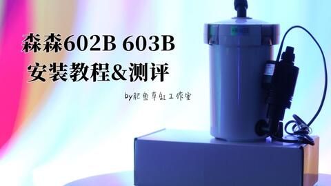 森森603b容量多大：森森603b過濾桶容量是指其內(nèi)部空間及其過濾能力 森森魚缸