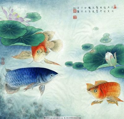 金龍魚(yú)水墨畫 龍魚(yú)百科 第1張