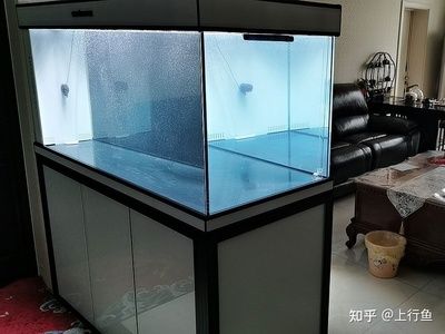 不用的大魚缸怎么處理：“不用的大魚缸怎么處理”