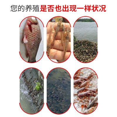 超市用水產(chǎn)養(yǎng)殖魚(yú)缸好嗎