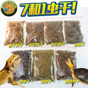 最便宜龍魚：自制金龍魚飼料的配方 龍魚百科 第2張