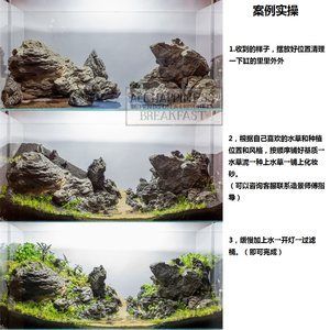 不用草缸還可以怎么給魚缸造景：不用水草泥和化妝沙進(jìn)行魚缸造景的方法 魚缸百科 第1張