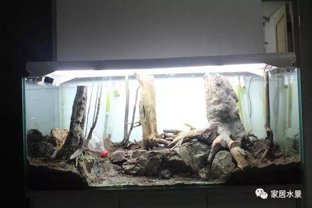 純石頭魚缸造景圖：純石頭魚缸造景技巧魚缸造景技巧魚缸造景技巧 魚缸百科 第1張